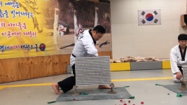 이지태권스쿨