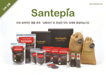 앤스쌍떼