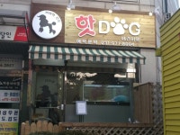 핫Dog 애견미용