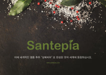 앤스쌍떼