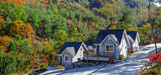 편백나무숲펜션