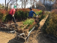 늘푸른조경