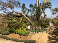 늘푸른조경