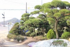 동산조경