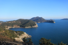 코지민박