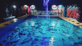 니모실내낚시카페