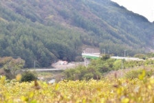 정선휴펜션