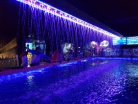 니모실내낚시카페