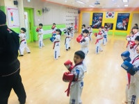 KTC용인대 태권도 특공무술