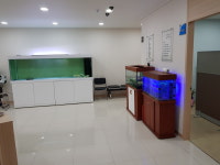 차정형외과의원