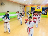 KTC용인대 태권도 특공무술