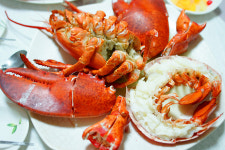 강릉 신대게나라