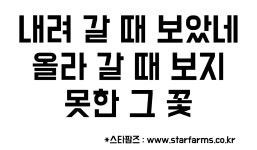 스타팜즈주말농장