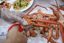 신대게나라