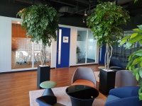 제이메드 한국지점