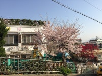 여고유치원