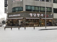 명당양과