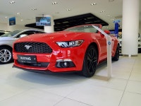 선인자동차 포드링컨 대전전시장