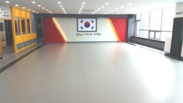 경희대 에이스 태권도