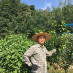 영달농장