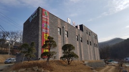 드라이브인무인텔 야자수