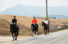 BK승마랜드