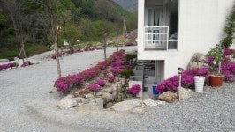 묘솔캠핑장
