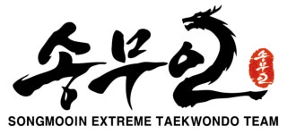 송무인연서태권도
