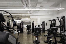 팀고릴라주짓수 수내