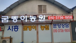 시흥굼벵이농원