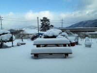 아침의향기펜션민박