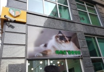 하트온동물병원