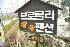 브로콜리펜션