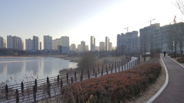 복드림공인중개사사무소