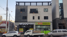 도그스토리
