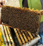 라이프원