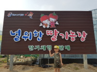 널위한딸기 2농장
