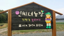 인씨네농장