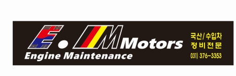 EM 모터스