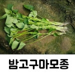 따리세농장