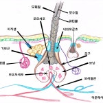 허준헤어 유천점