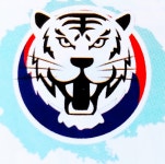 백호박사태권도
