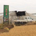 태양토마토농장