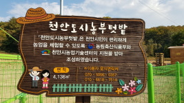도시농부텃밭