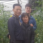 태양토마토농장