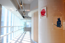 큰마음동물메디컬센터