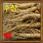건강을지키는사람들
