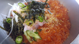 울진참가자미
