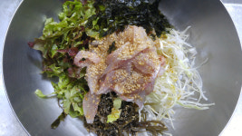울진참가자미