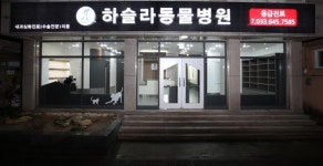 하슬라동물병원
